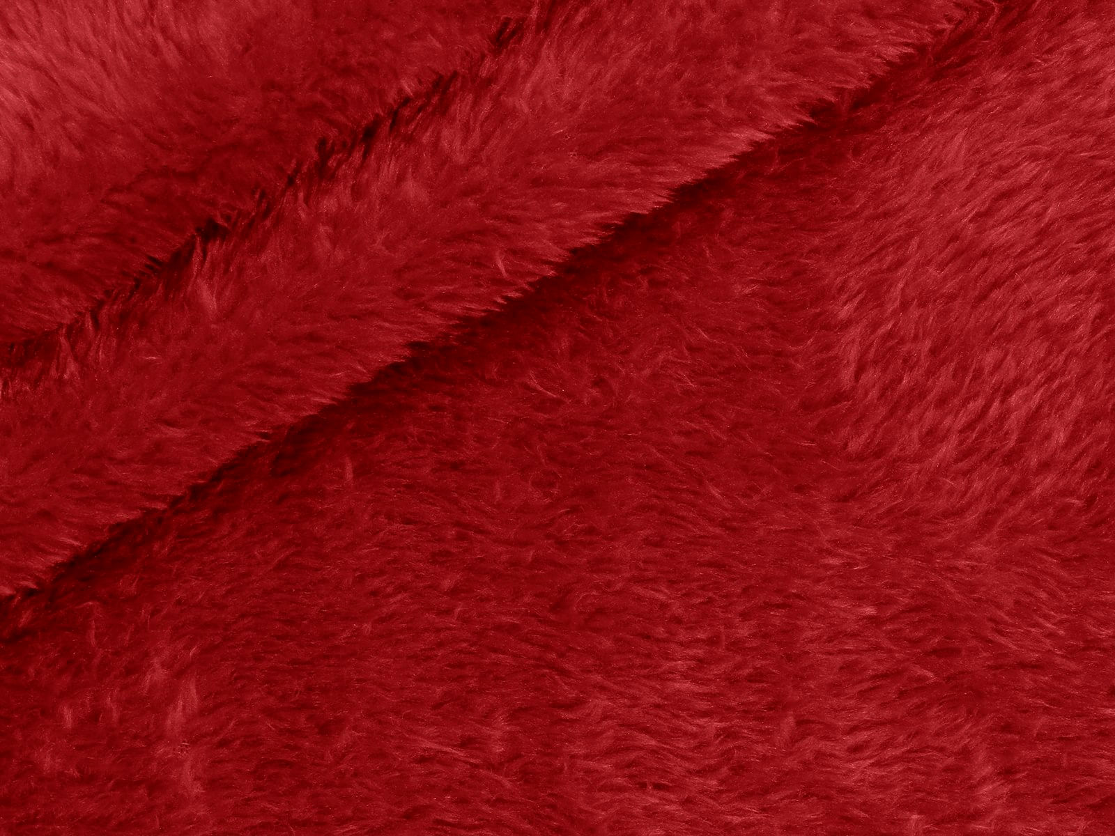 IMAGE_L