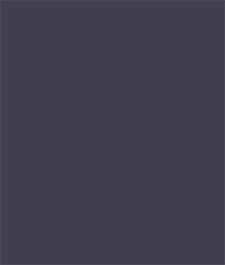 IMAGE_T