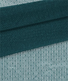 IMAGE_T