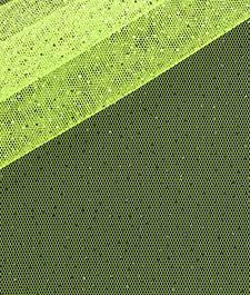 IMAGE_T