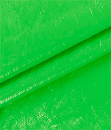 IMAGE_T