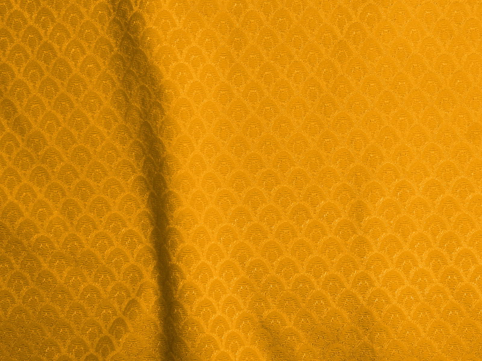 IMAGE_L