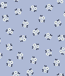IMAGE_T