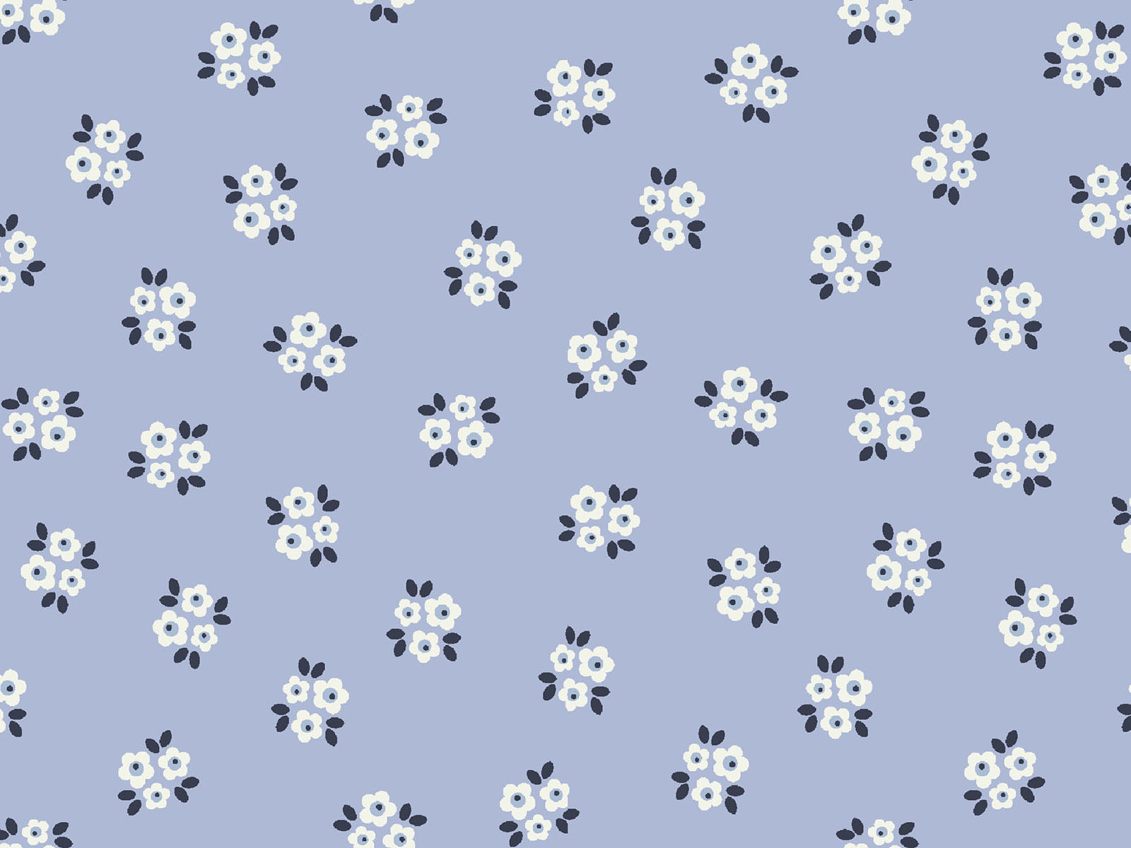 IMAGE_L