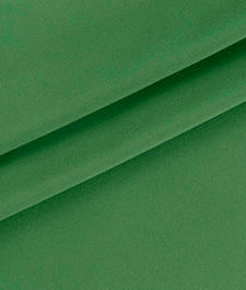 IMAGE_T