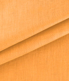 IMAGE_T