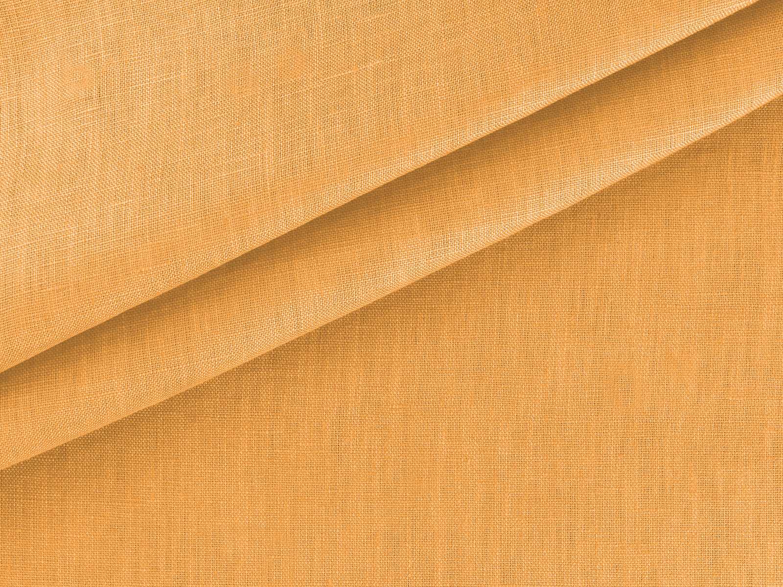 IMAGE_L