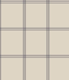 IMAGE_T IMAGE_T