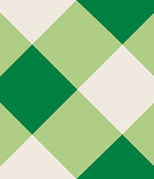 IMAGE_T IMAGE_T